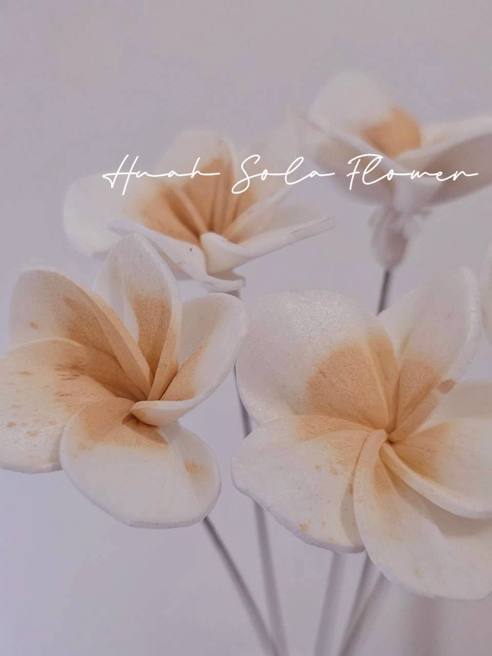 LINE_ALBUM_官網0306-2_260307_57