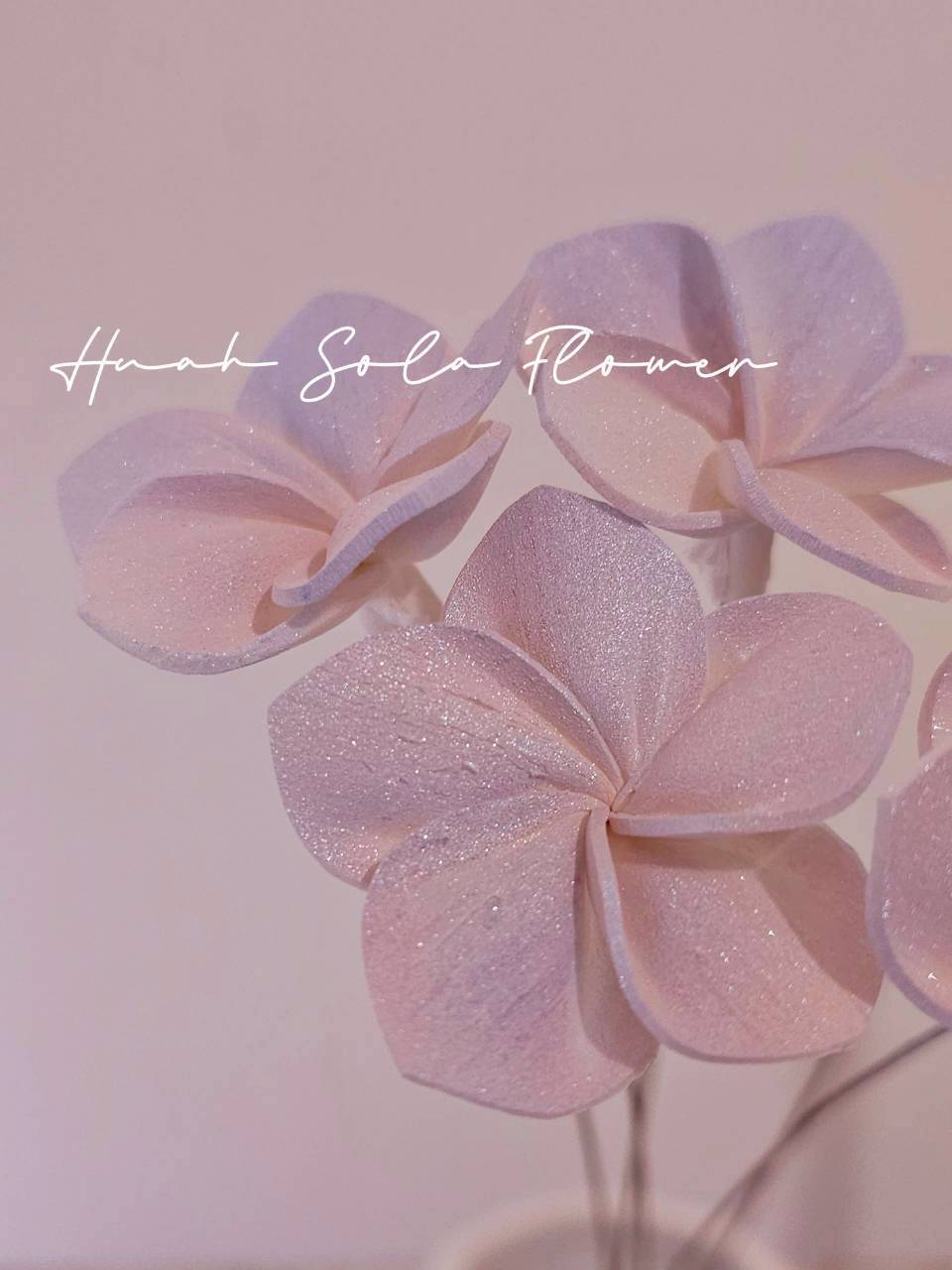 LINE_ALBUM_官網0306-2_260307_56