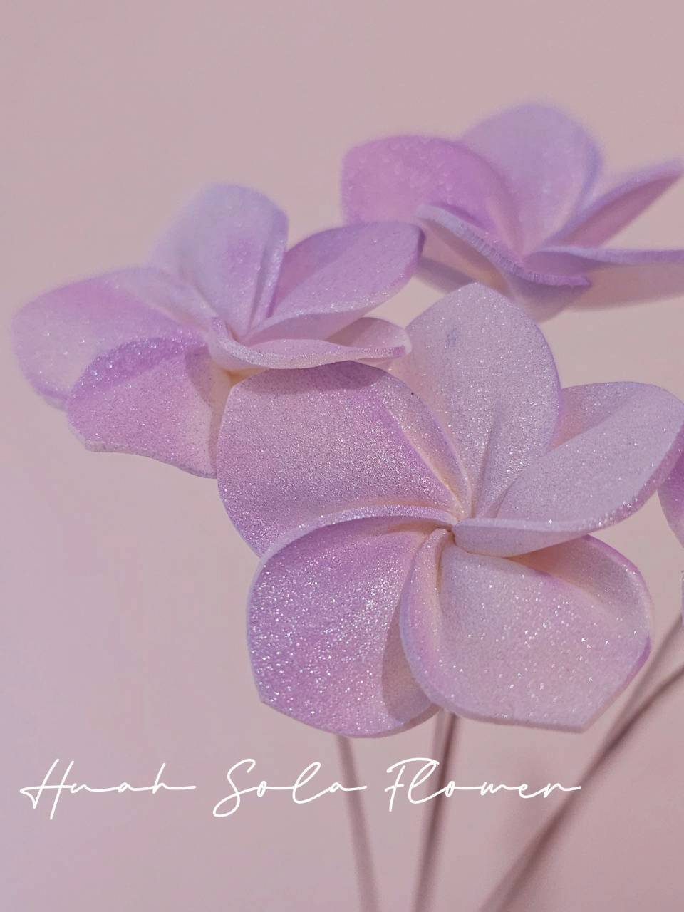 LINE_ALBUM_官網0306-2_260307_53