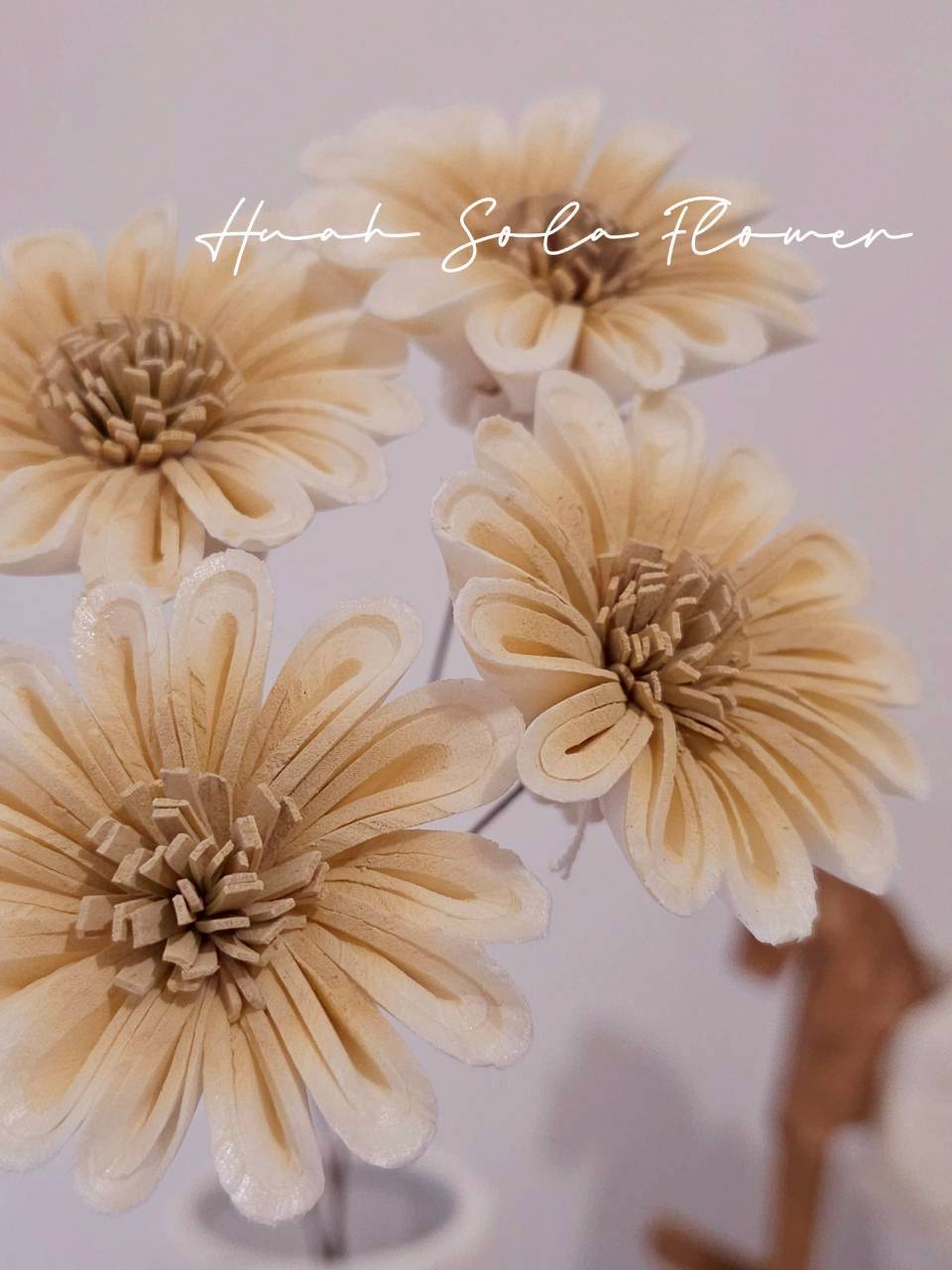 LINE_ALBUM_官網0306-2_260307_51