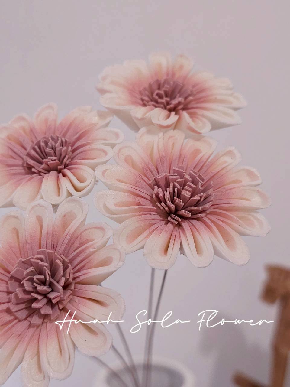 LINE_ALBUM_官網0306-2_260307_43