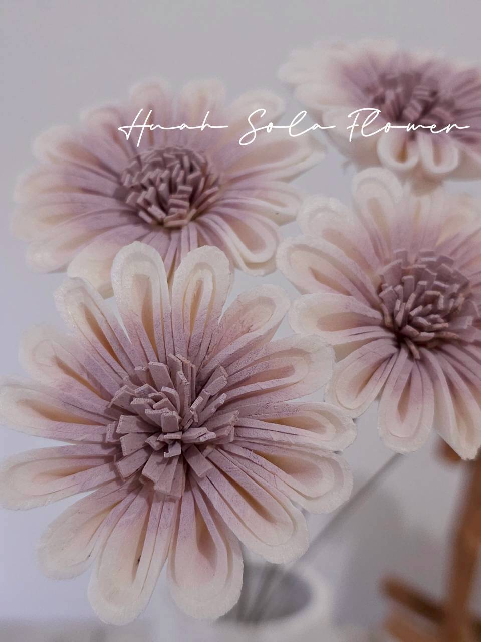 LINE_ALBUM_官網0306-2_260307_35