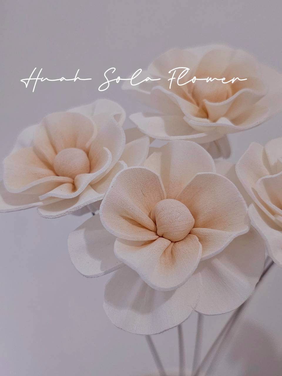 LINE_ALBUM_官網0306-2_260307_3