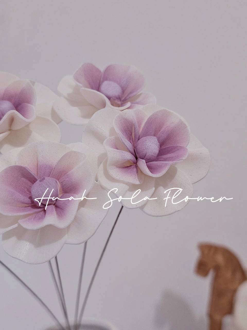 LINE_ALBUM_官網0306-2_260307_5