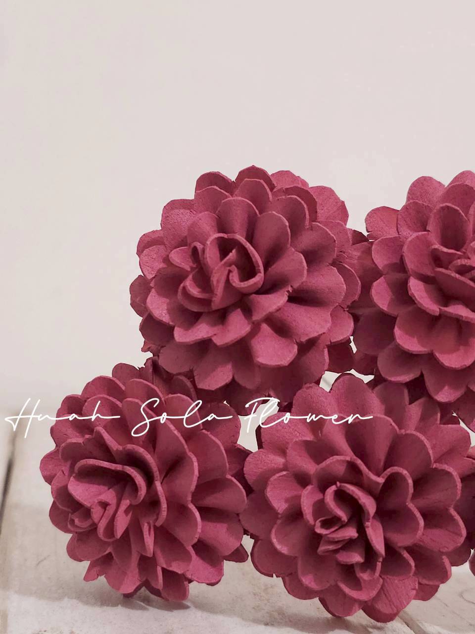 LINE_ALBUM_2026420_260420_7