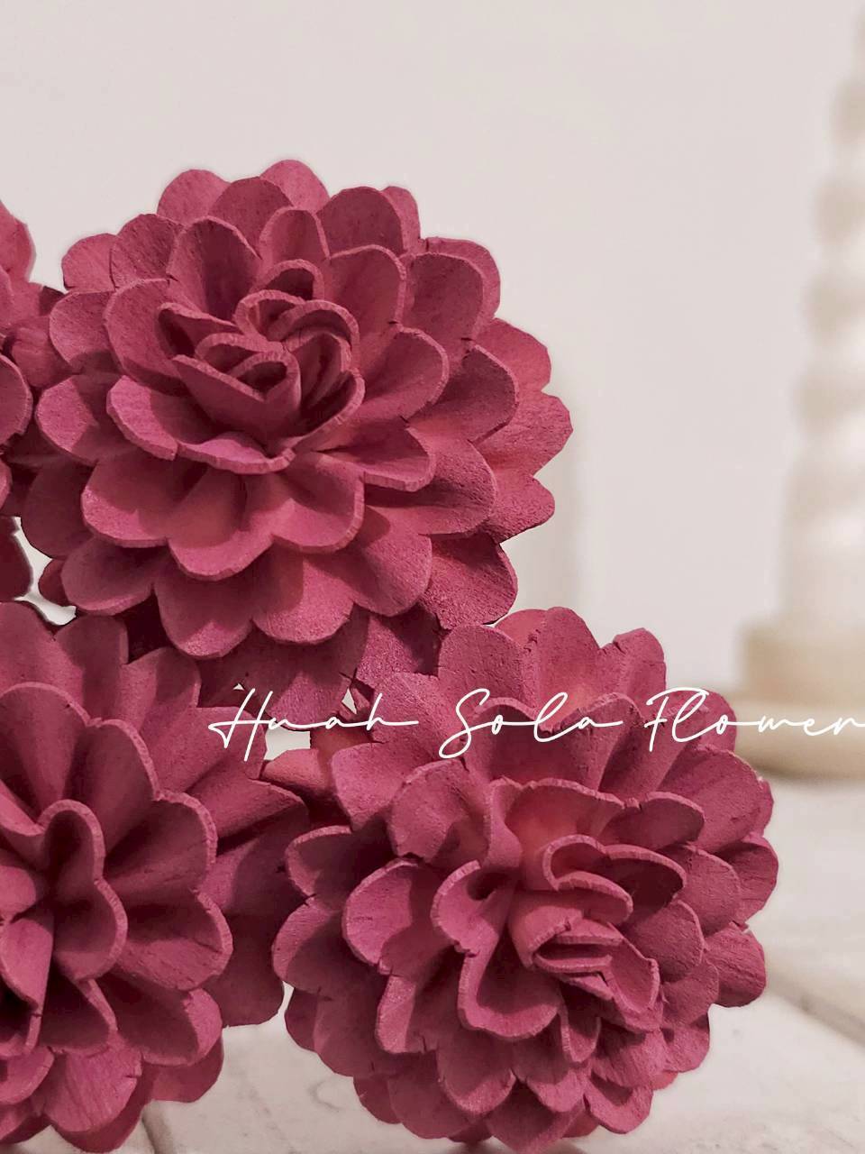 LINE_ALBUM_2026420_260420_8