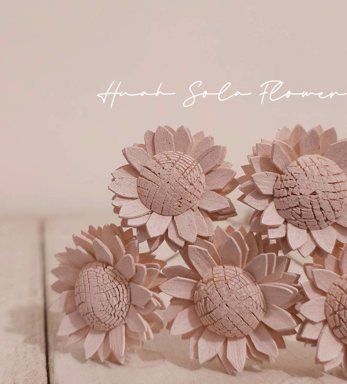 LINE_ALBUM_2026420_260420_26