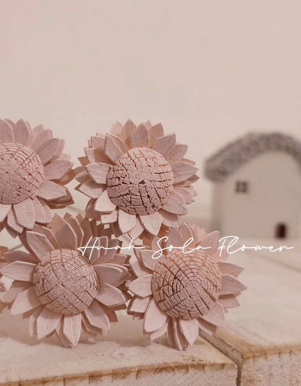 LINE_ALBUM_2026420_260420_27