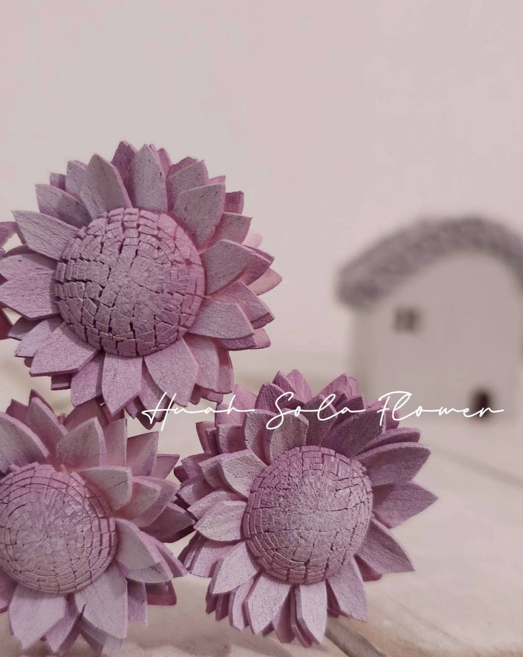 LINE_ALBUM_2026420_260420_45