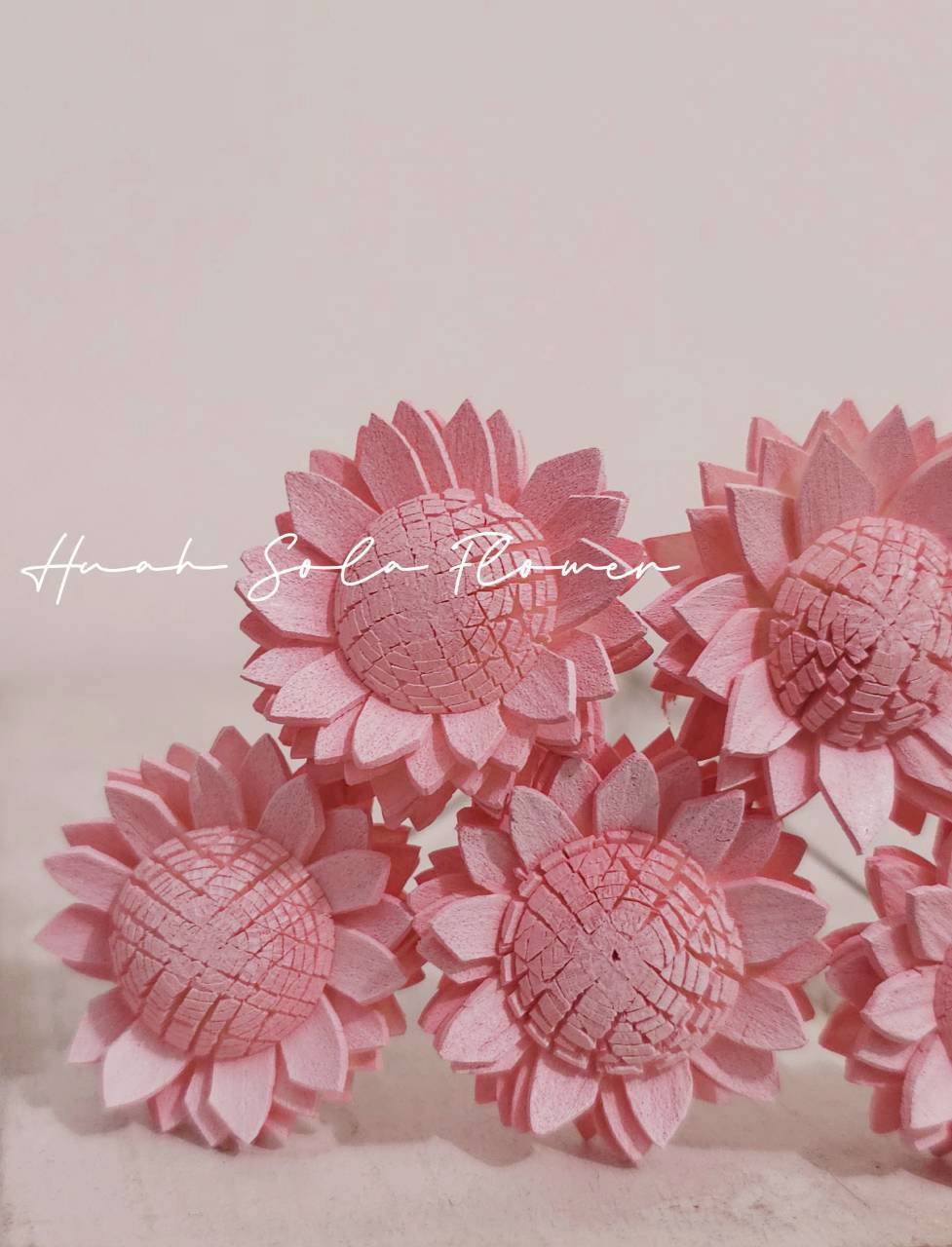 LINE_ALBUM_2026420_260420_47