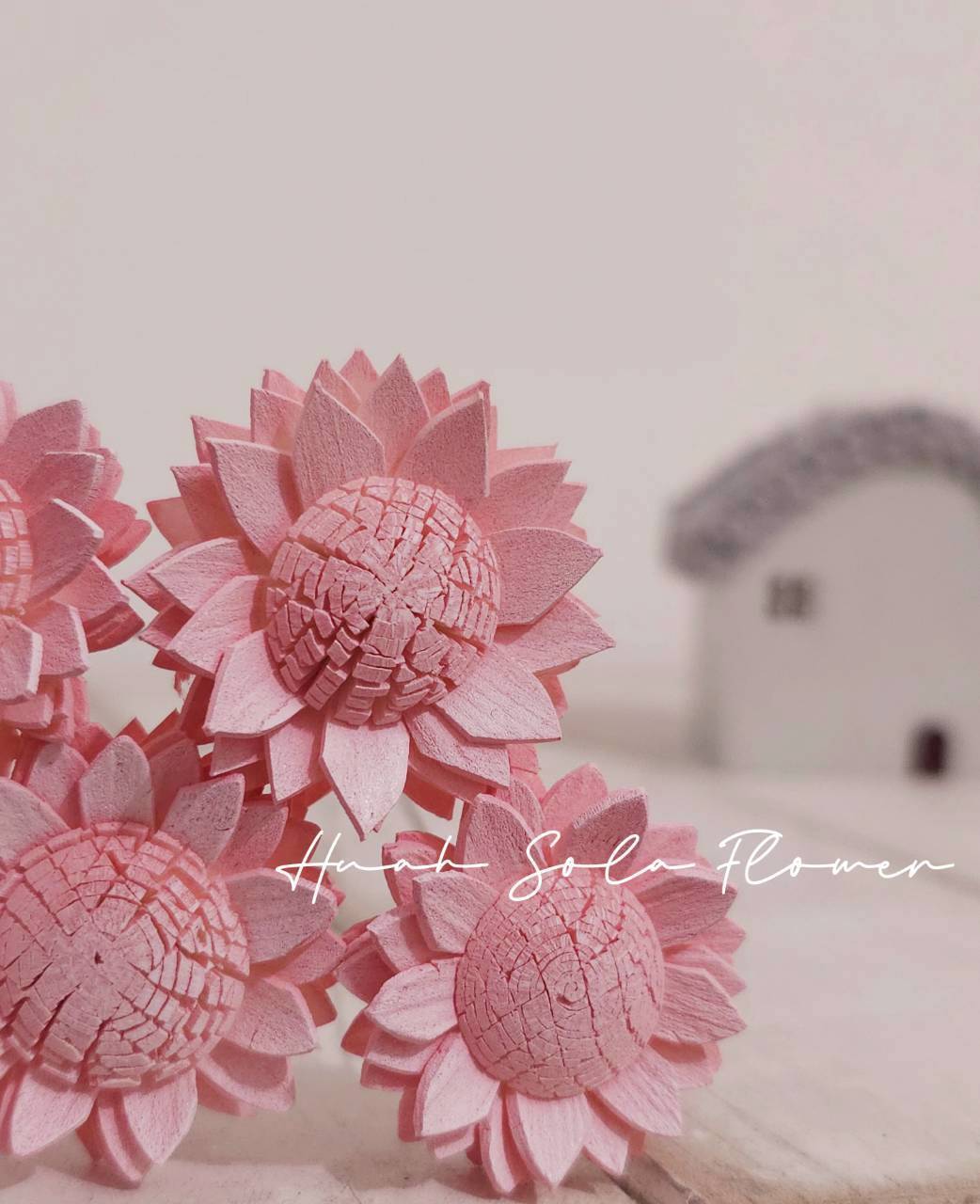 LINE_ALBUM_2026420_260420_48