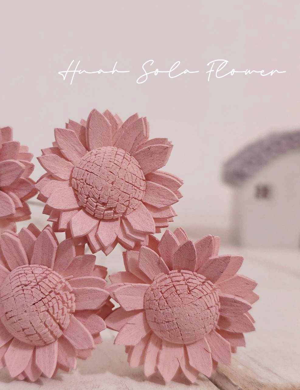 LINE_ALBUM_2026420_260420_13