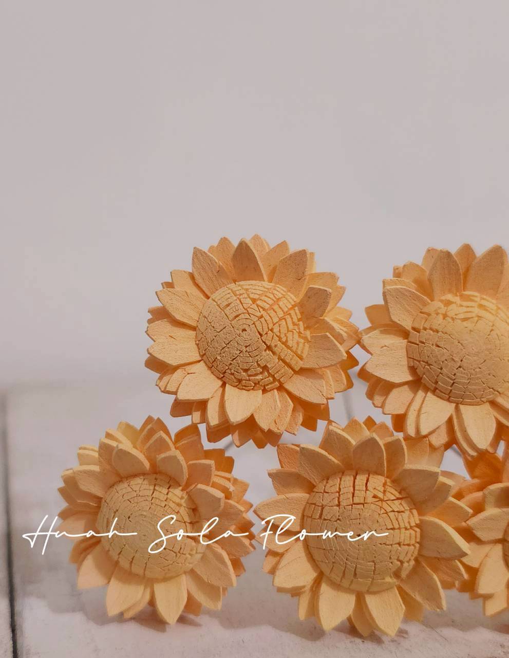 LINE_ALBUM_2026420_260420_23