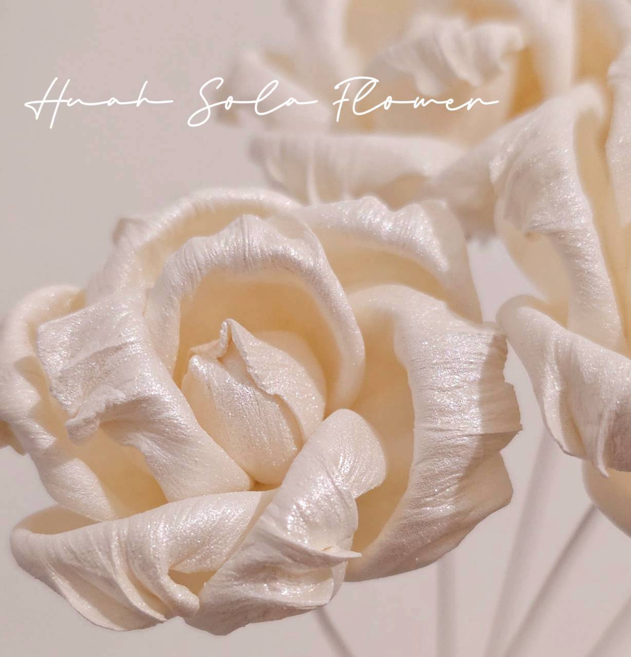 LINE_ALBUM_2026420_260420_51