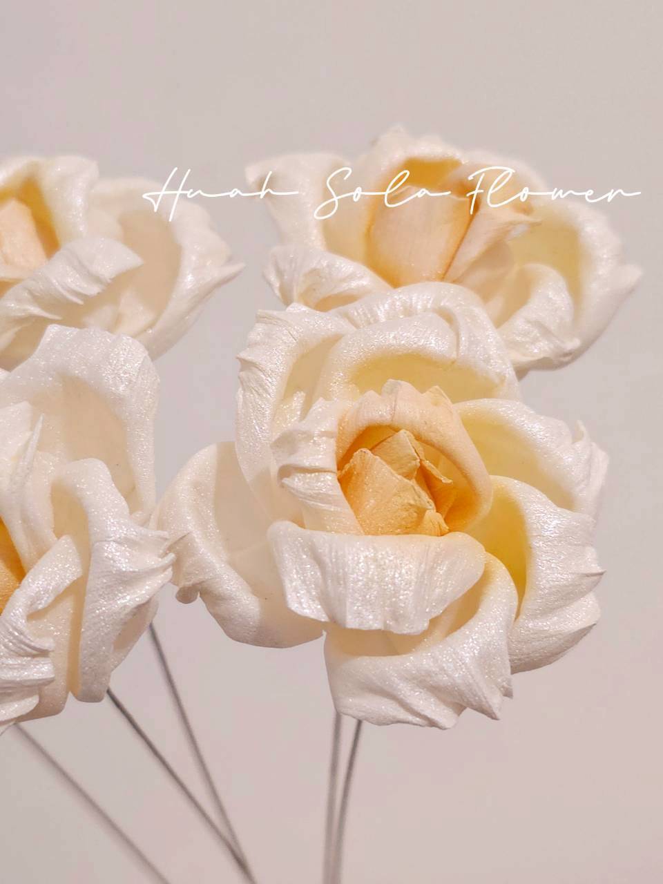 LINE_ALBUM_2026420_260420_56