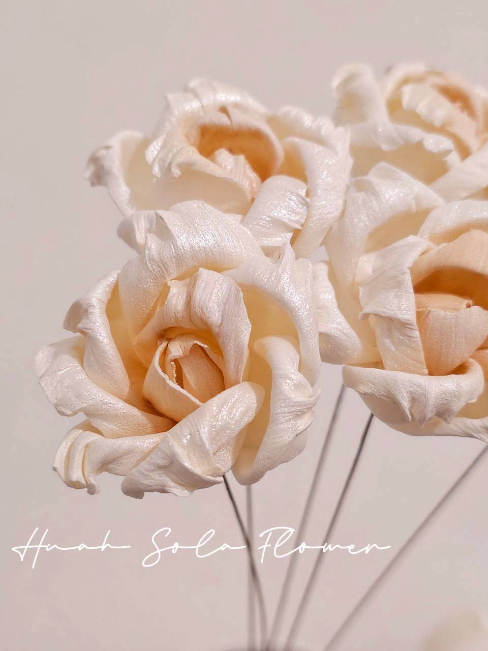 LINE_ALBUM_2026420_260420_58