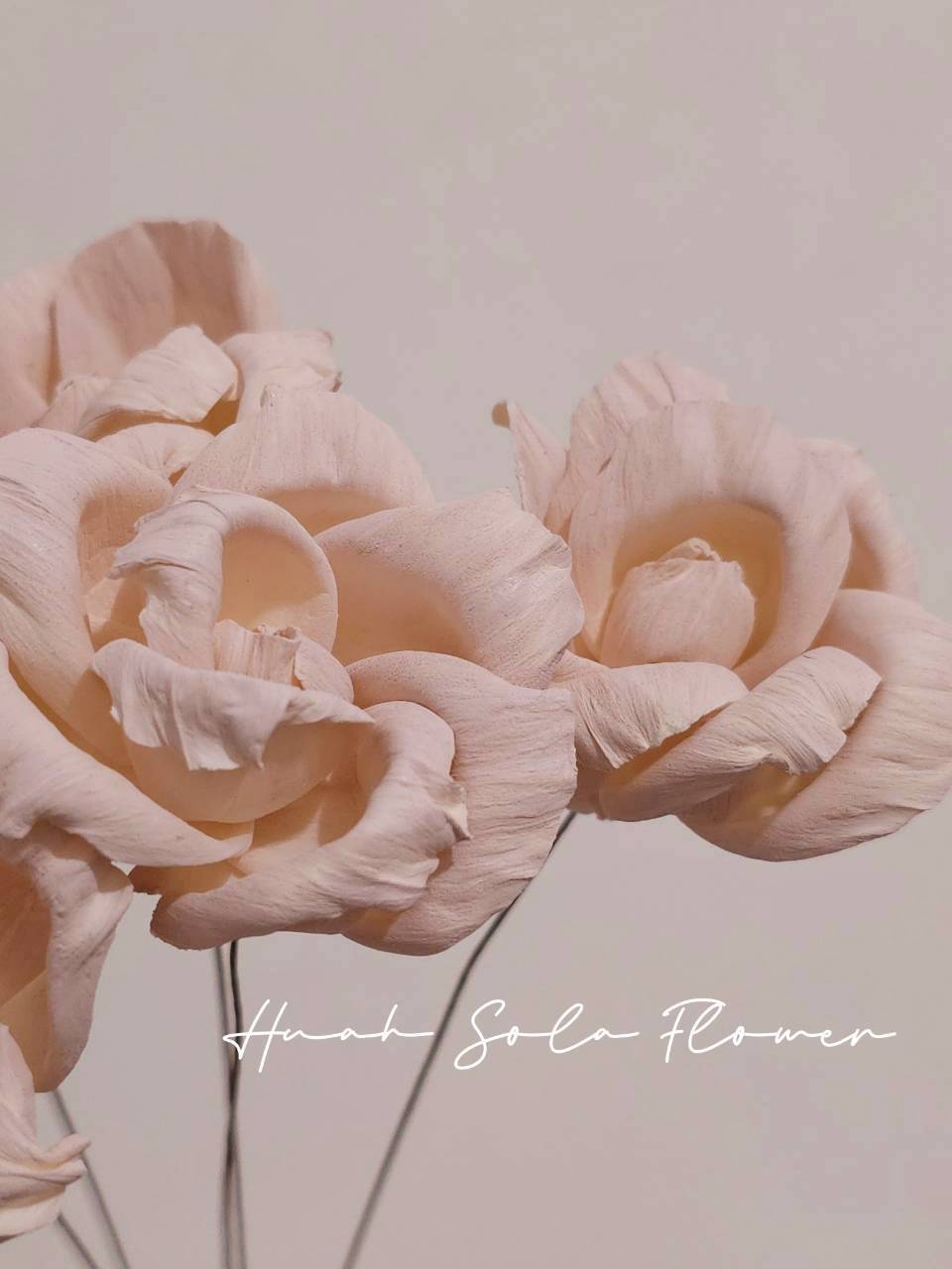 LINE_ALBUM_2026420_260420_75