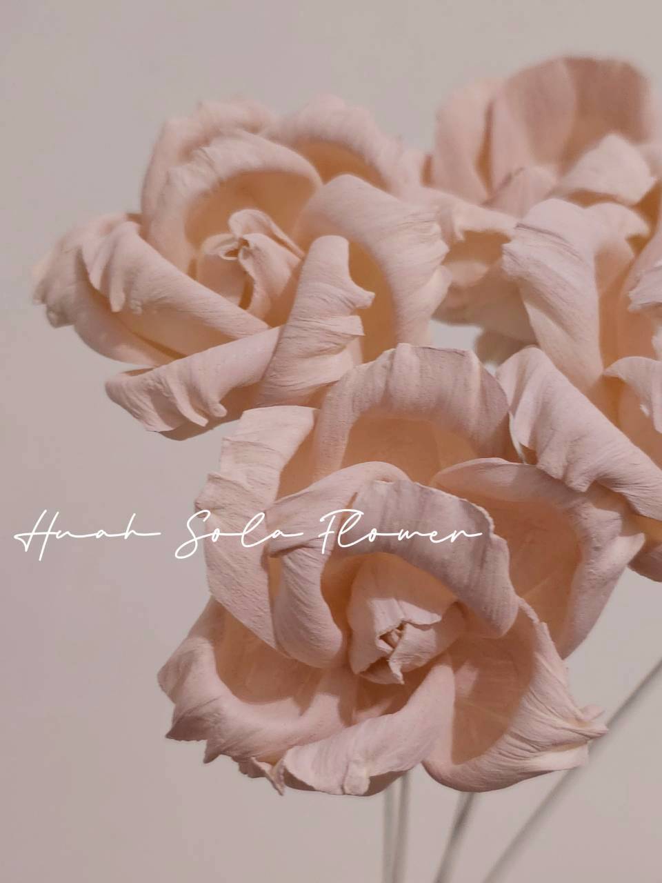 LINE_ALBUM_2026420_260420_74