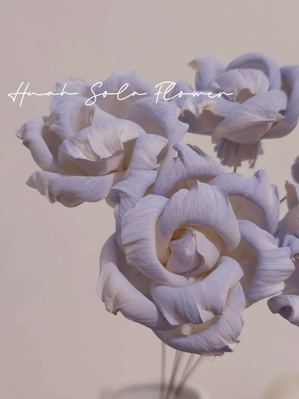 LINE_ALBUM_2026420_260420_78