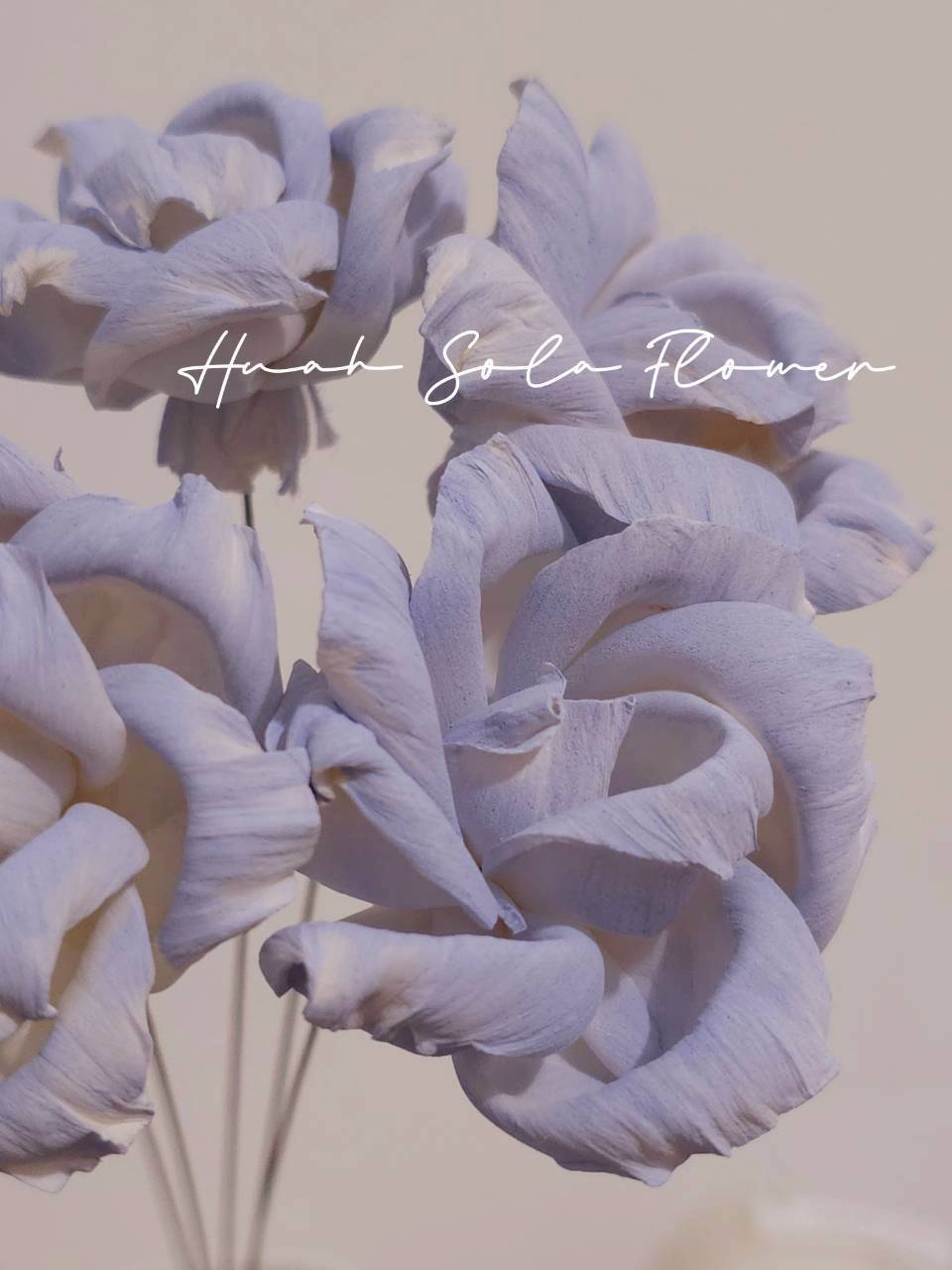 LINE_ALBUM_2026420_260420_77