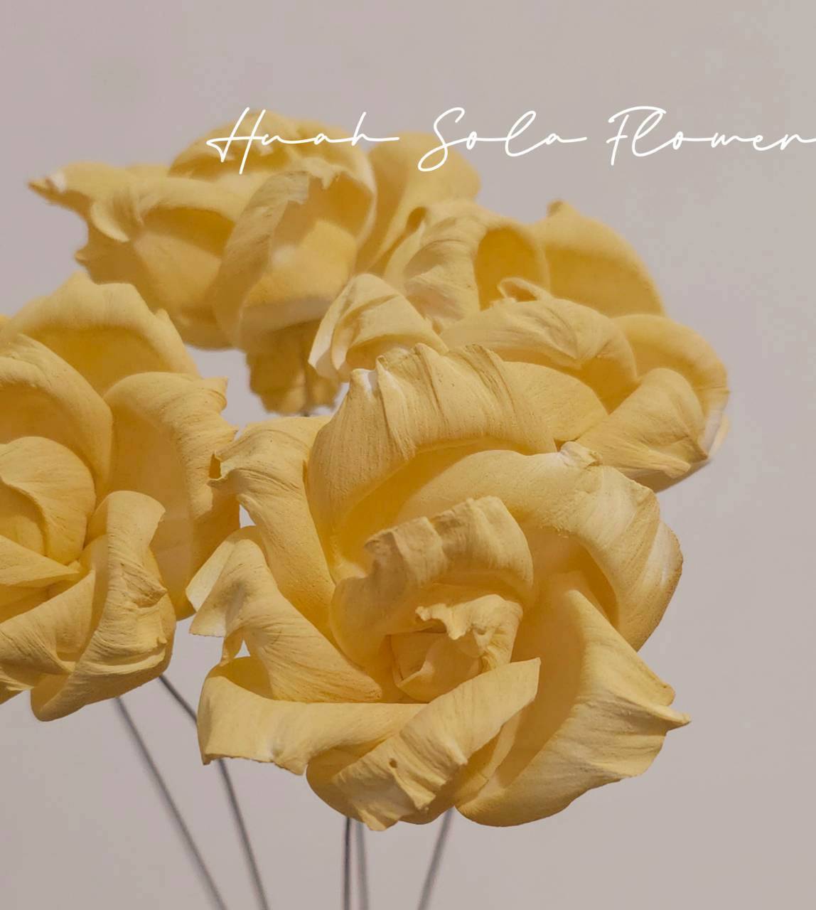 LINE_ALBUM_2026420_260420_80