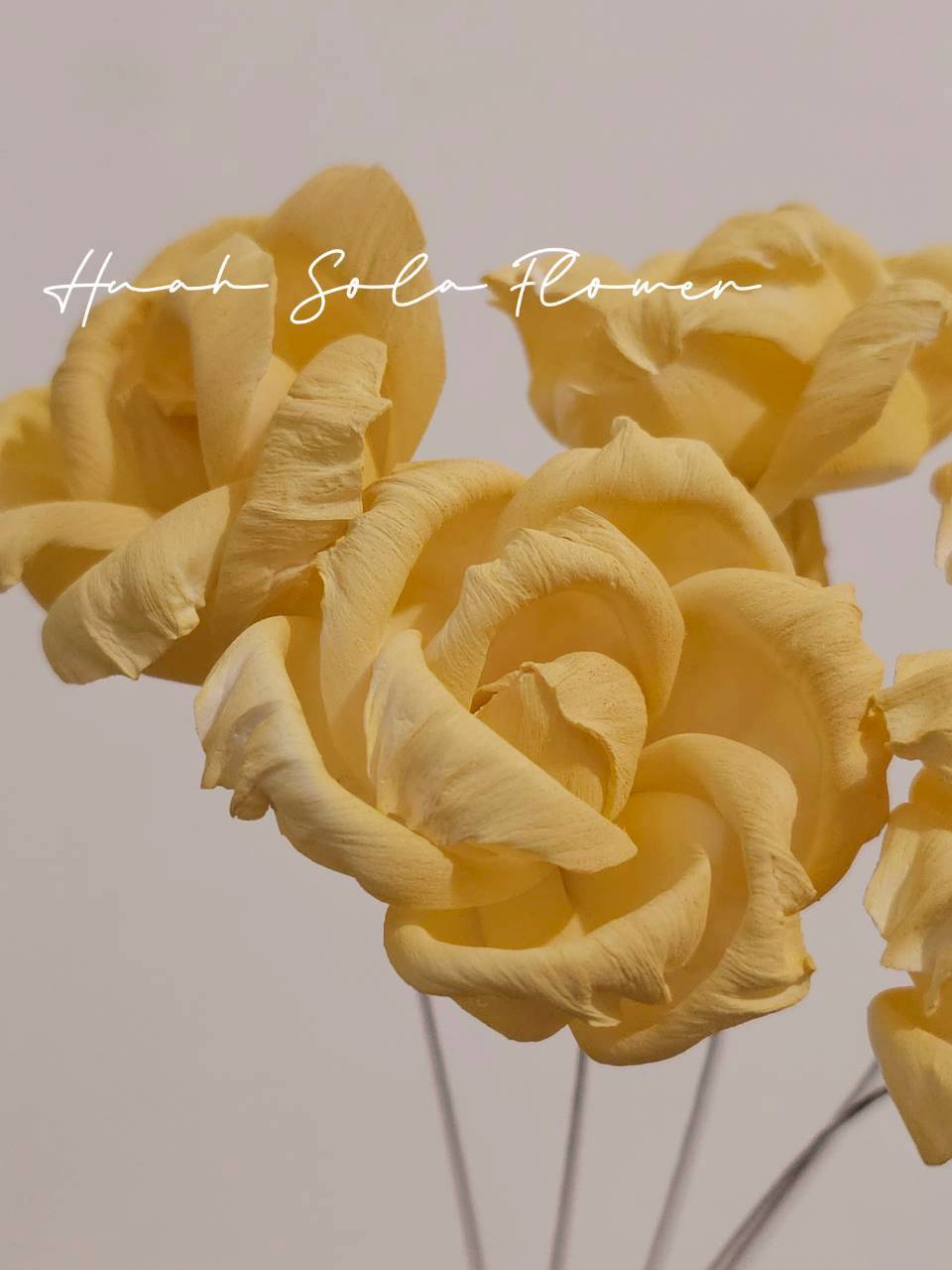 LINE_ALBUM_2026420_260420_81