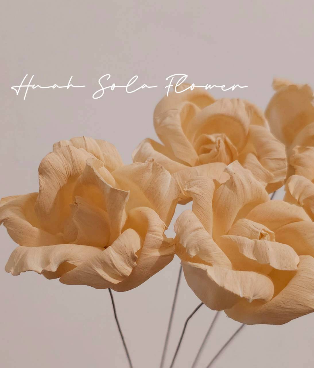 LINE_ALBUM_2026420_260420_83