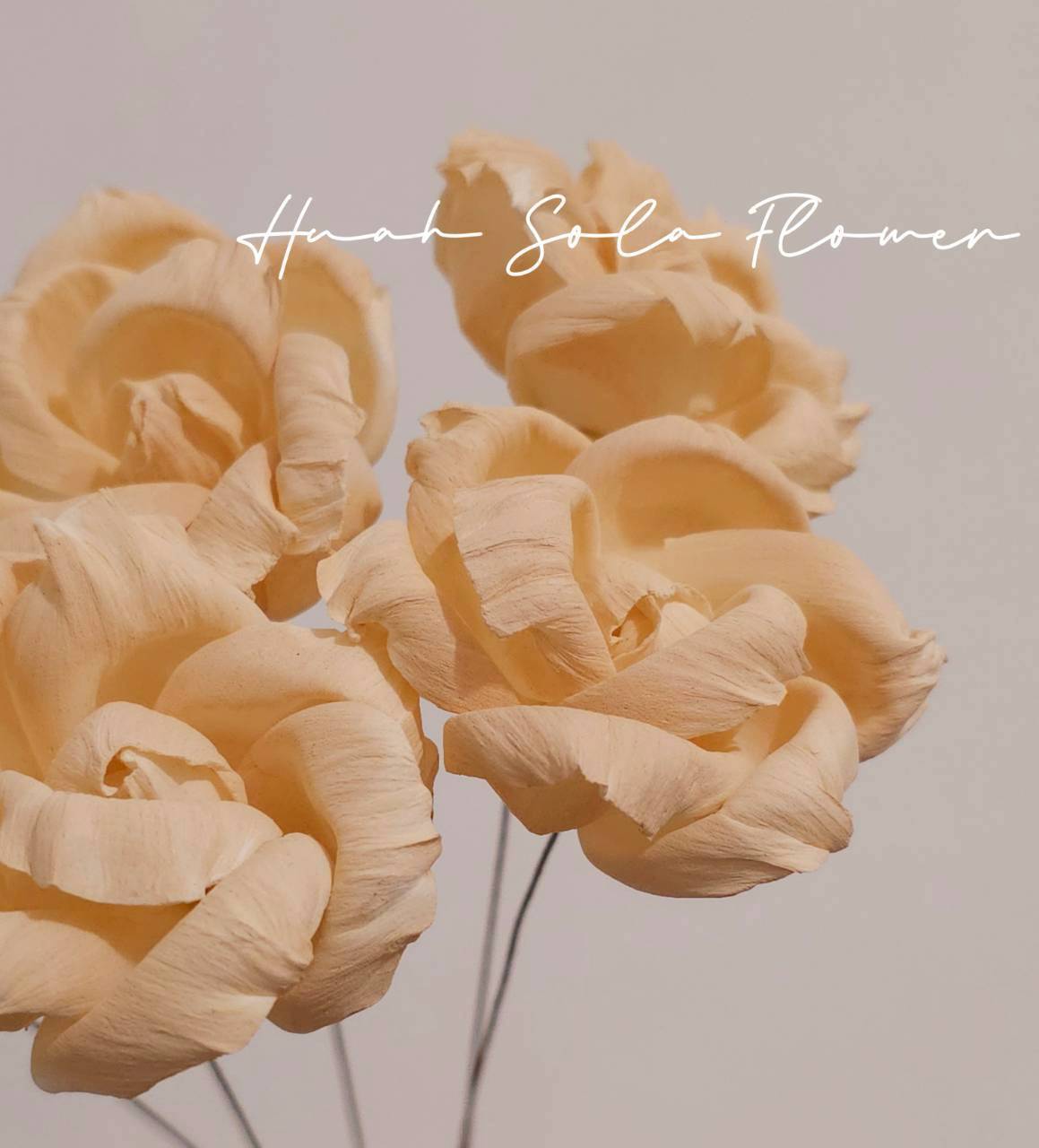 LINE_ALBUM_2026420_260420_84