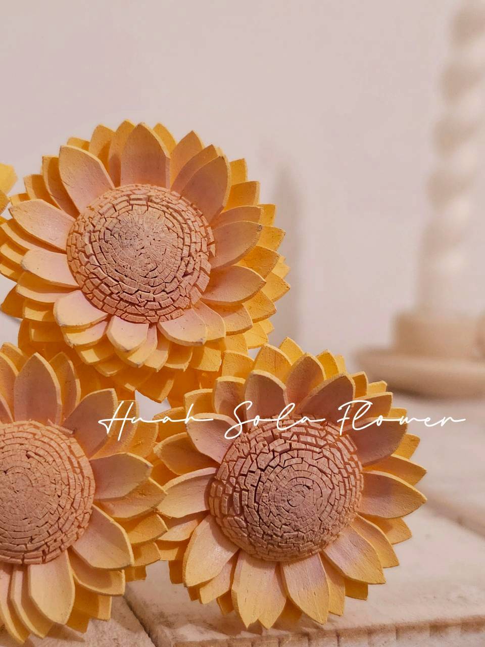 LINE_ALBUM_2026420_260420_99