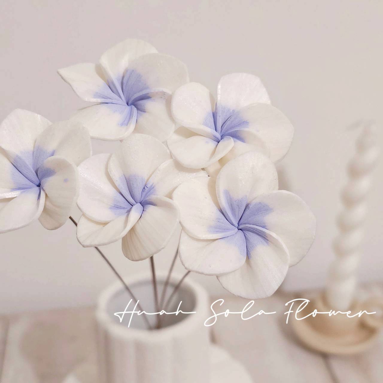 94042201