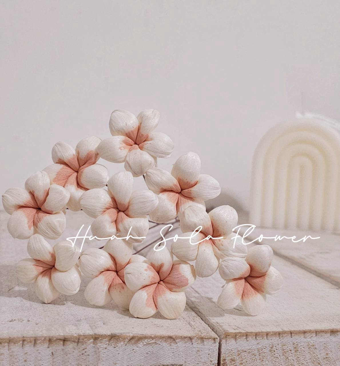 LINE_ALBUM_2026106_261006_42