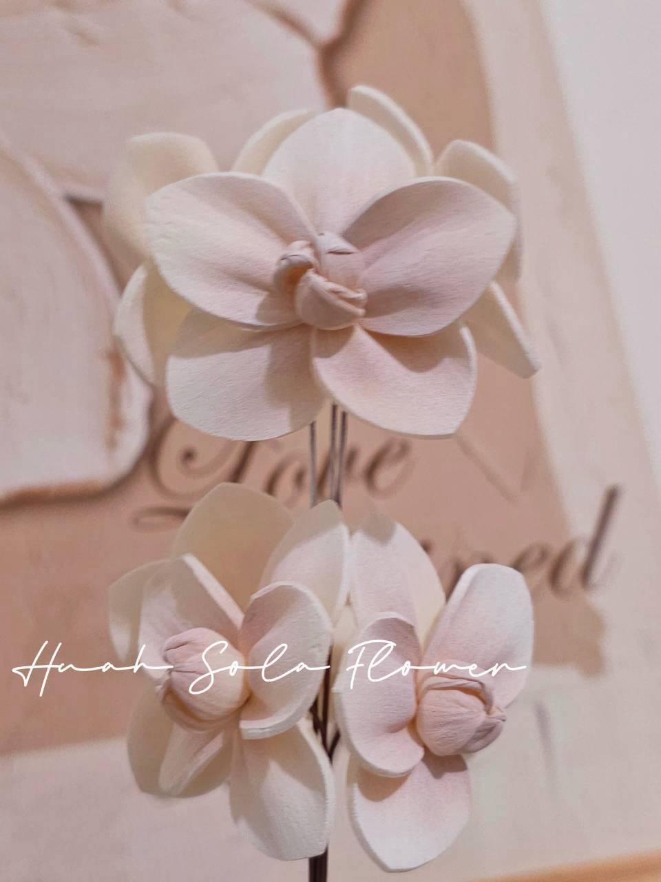 LINE_ALBUM_2026106_261006_69