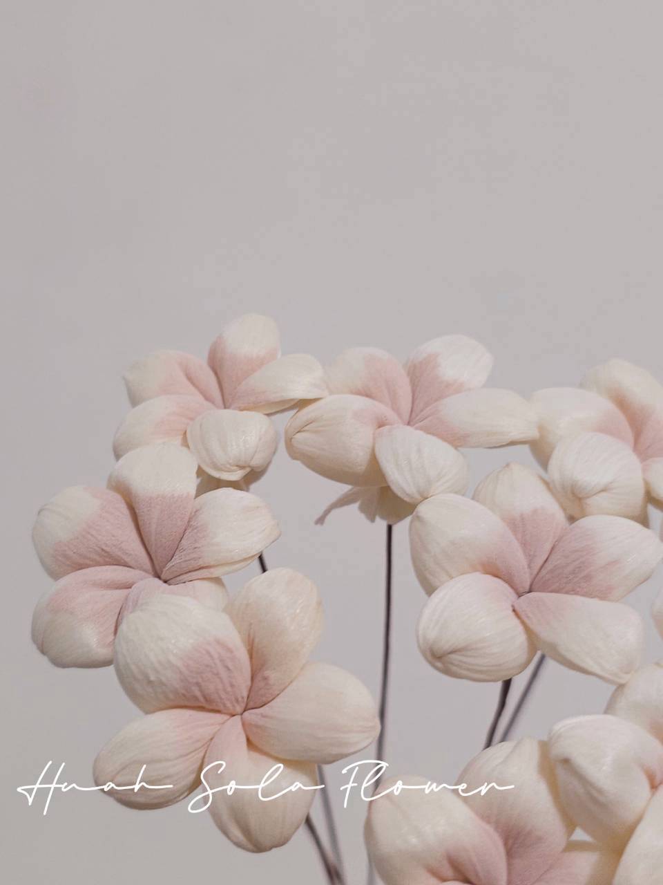 LINE_ALBUM_2026109_261009_13