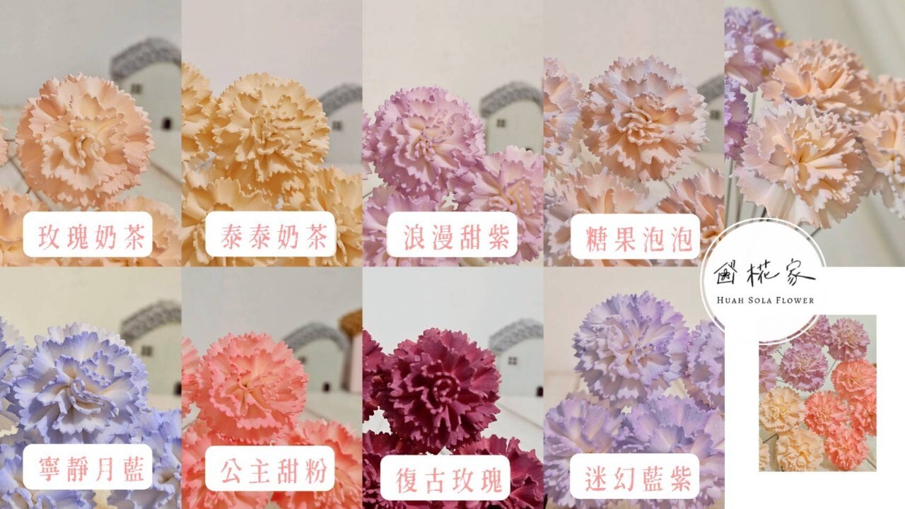 單色款經典簡單美/雙色款獨特美感好呈現
