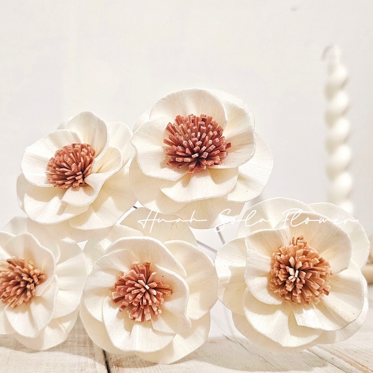 LINE_ALBUM_官網_250305_3