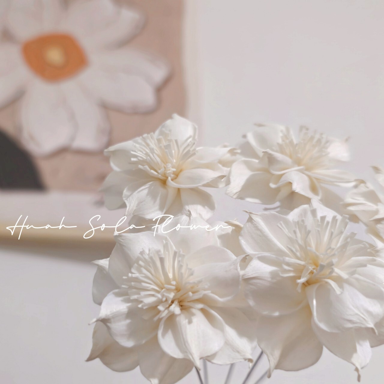 LINE_ALBUM_官網_250411_41