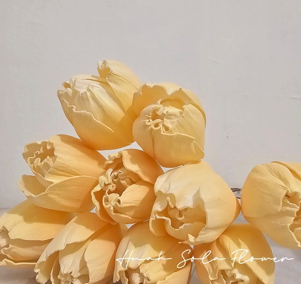 LINE_ALBUM_官網_250319_17