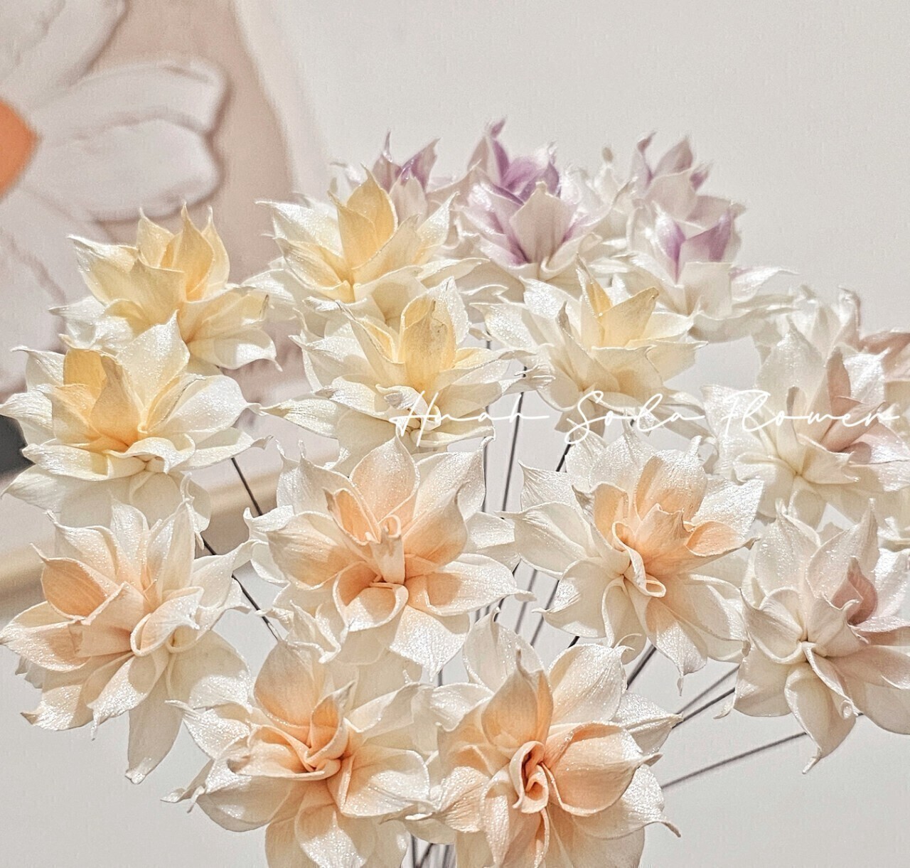 LINE_ALBUM_官網_250319_110