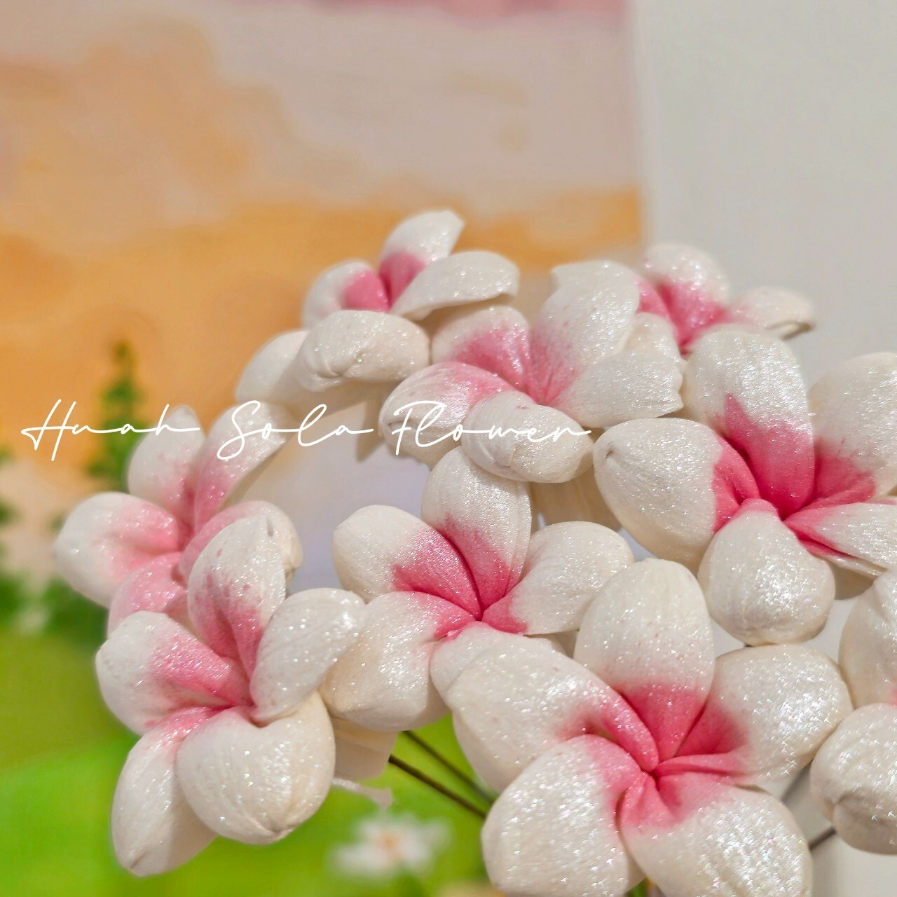 LINE_ALBUM_官網_250516_26