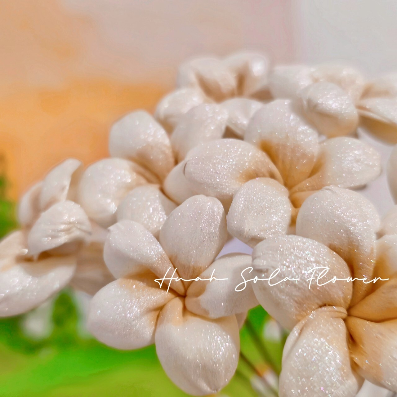 LINE_ALBUM_官網_250516_32