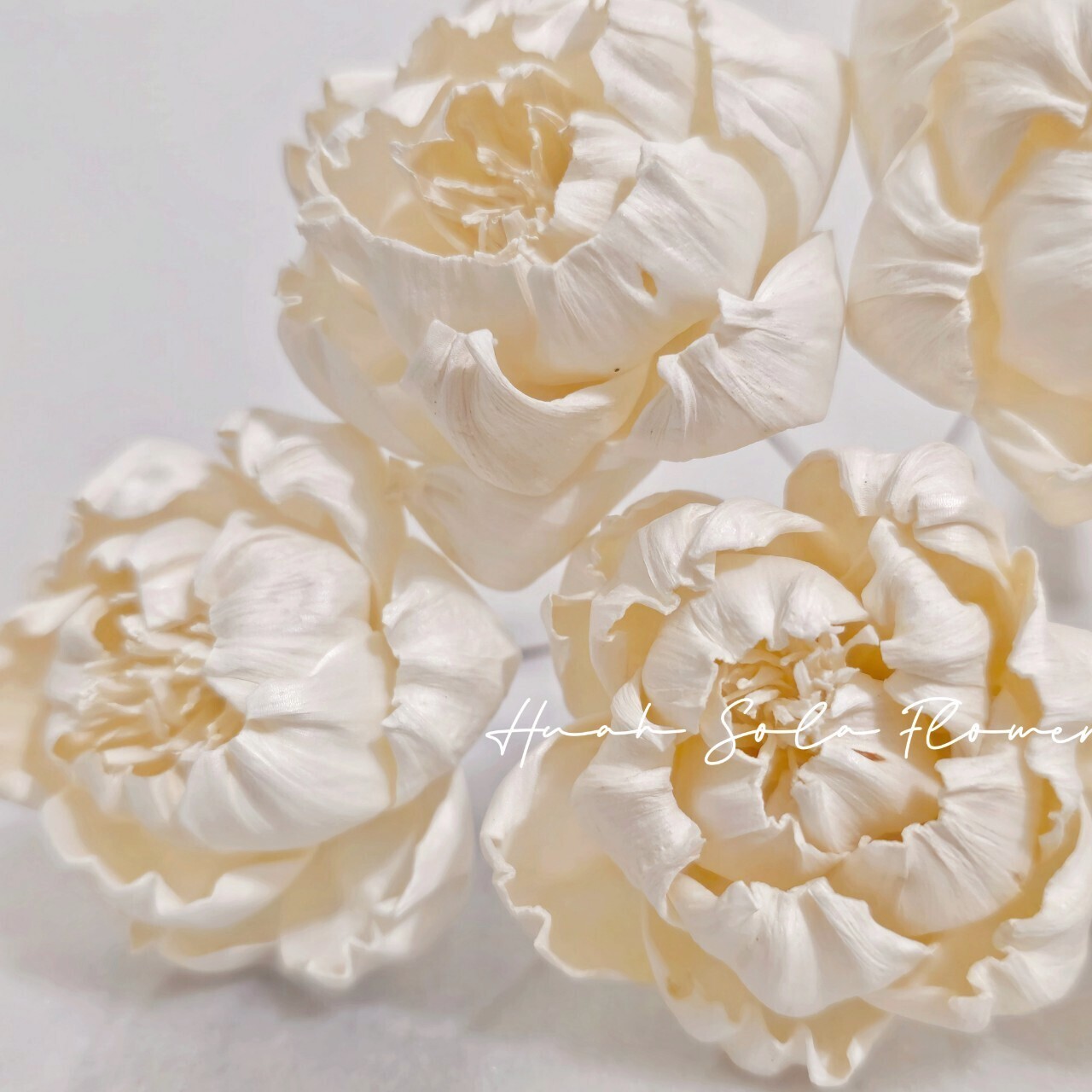 LINE_ALBUM_官網_250411_31