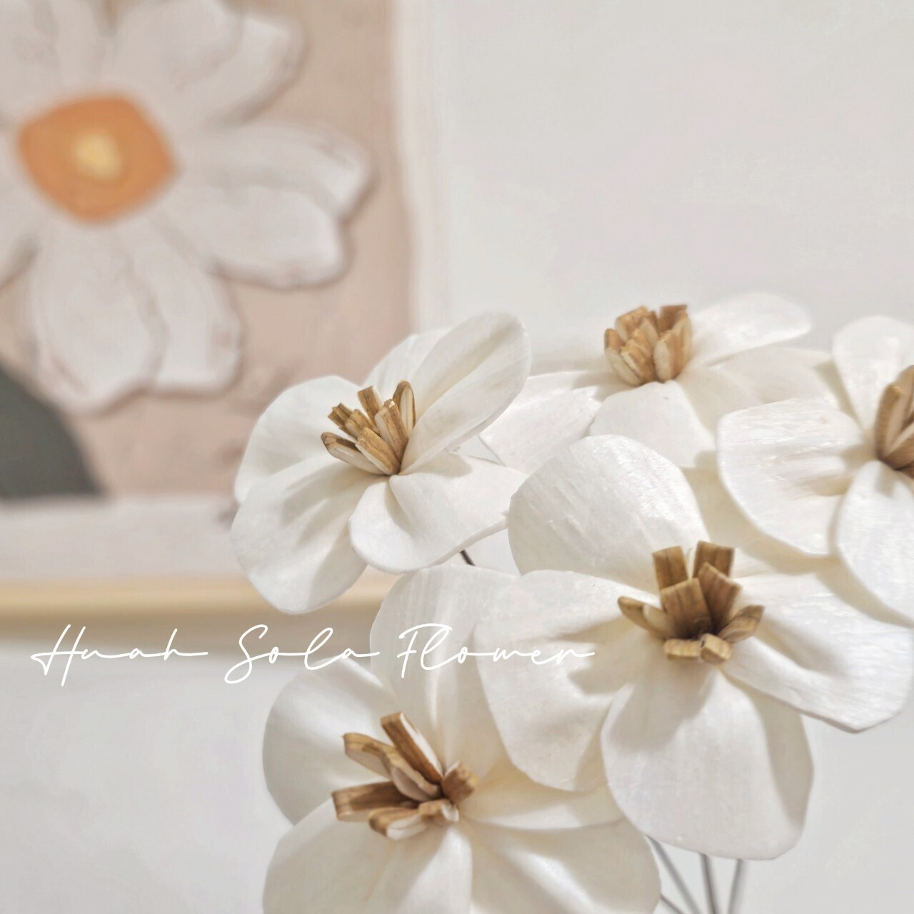 LINE_ALBUM_官網_250411_28