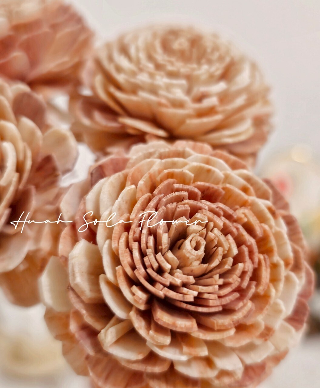 LINE_ALBUM_官網_250411_25