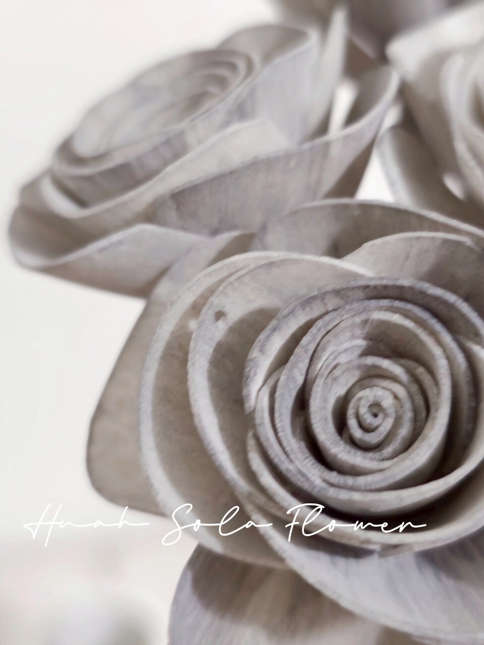 LINE_ALBUM_官網2_250801_23