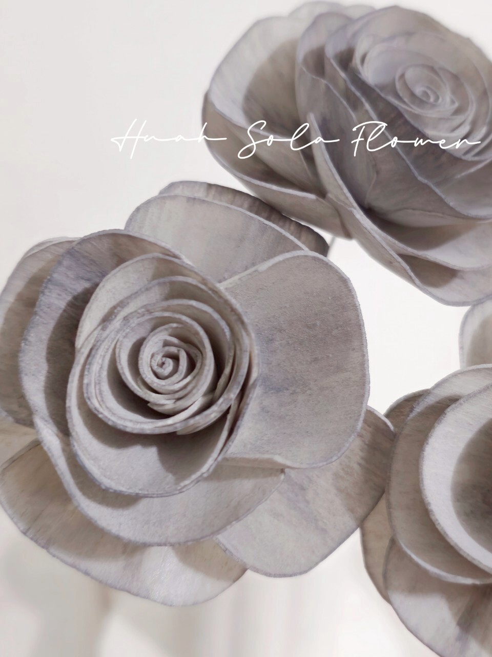 LINE_ALBUM_官網2_250801_28