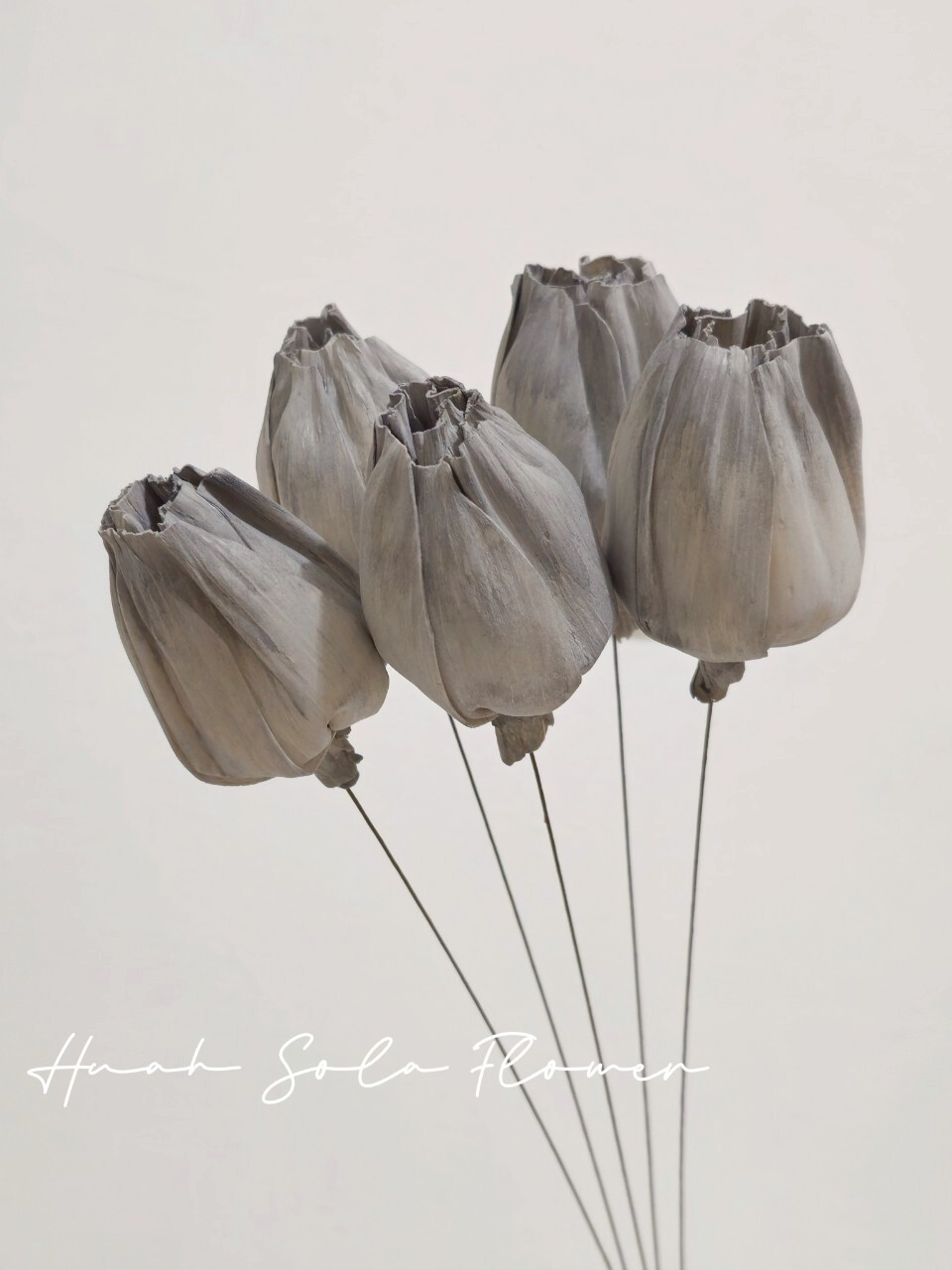 LINE_ALBUM_官網2_250801_1