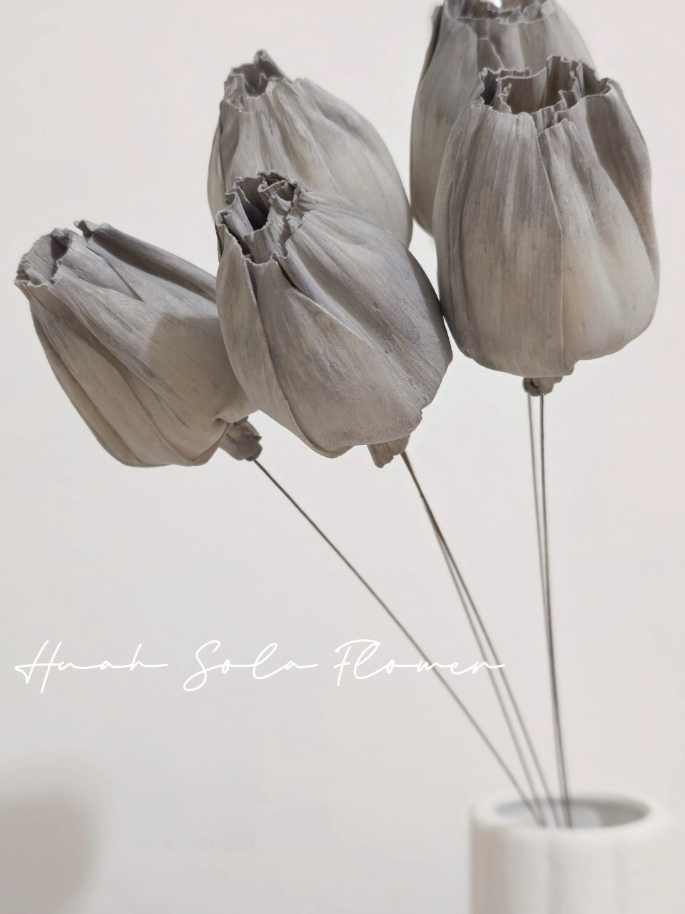 LINE_ALBUM_官網2_250801_33