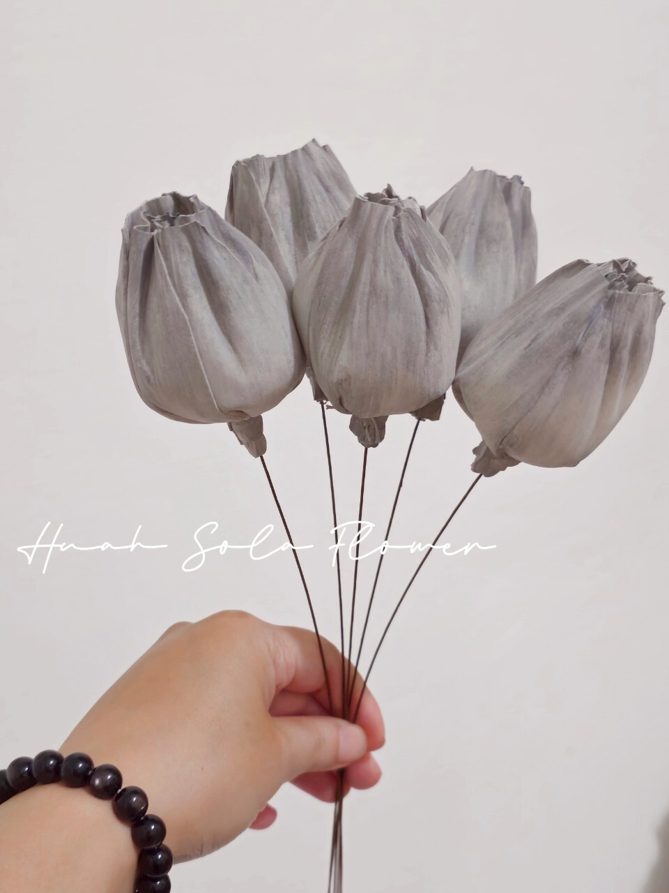 LINE_ALBUM_官網2_250801_31