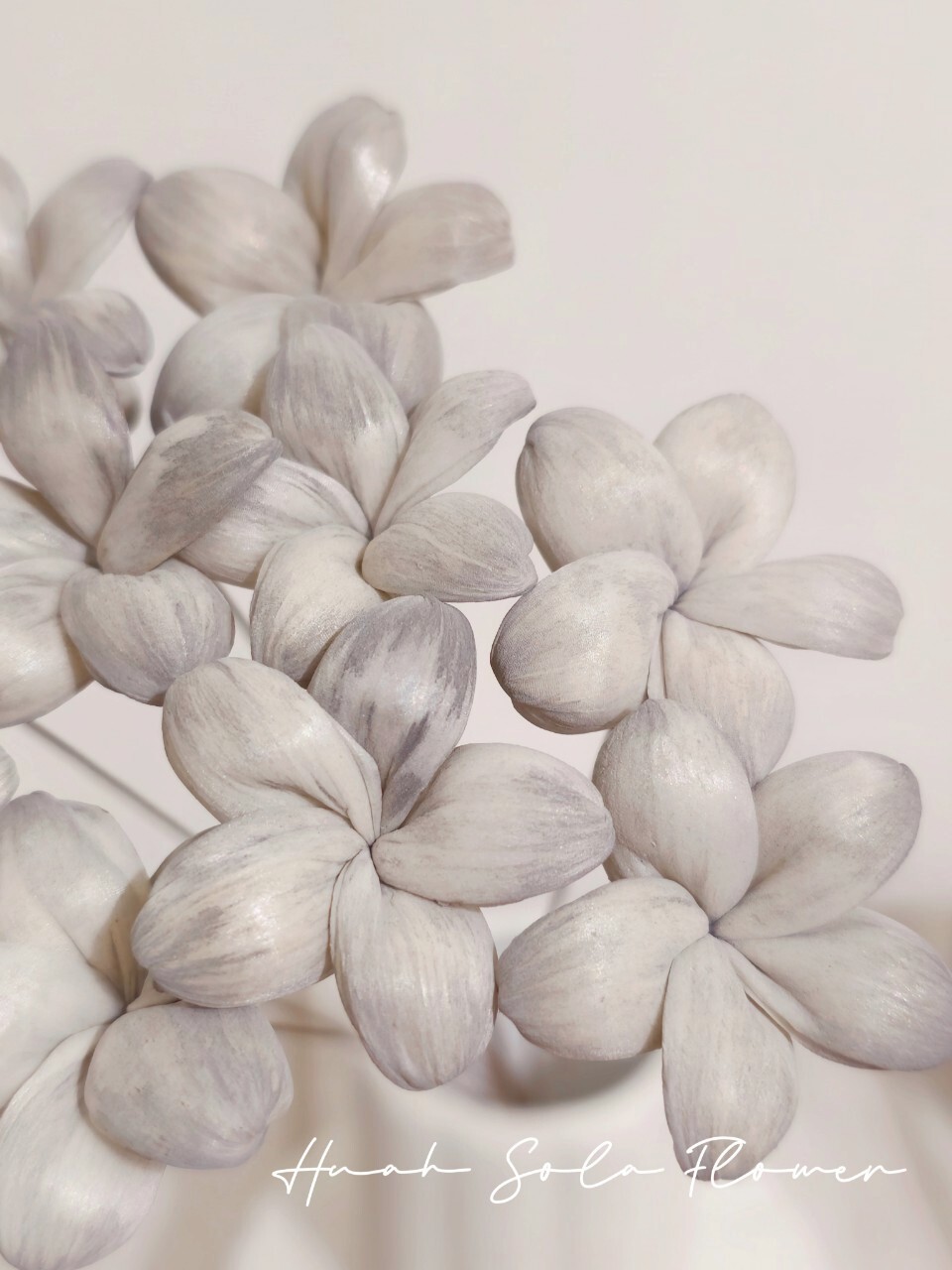 LINE_ALBUM_官網2_250801_26