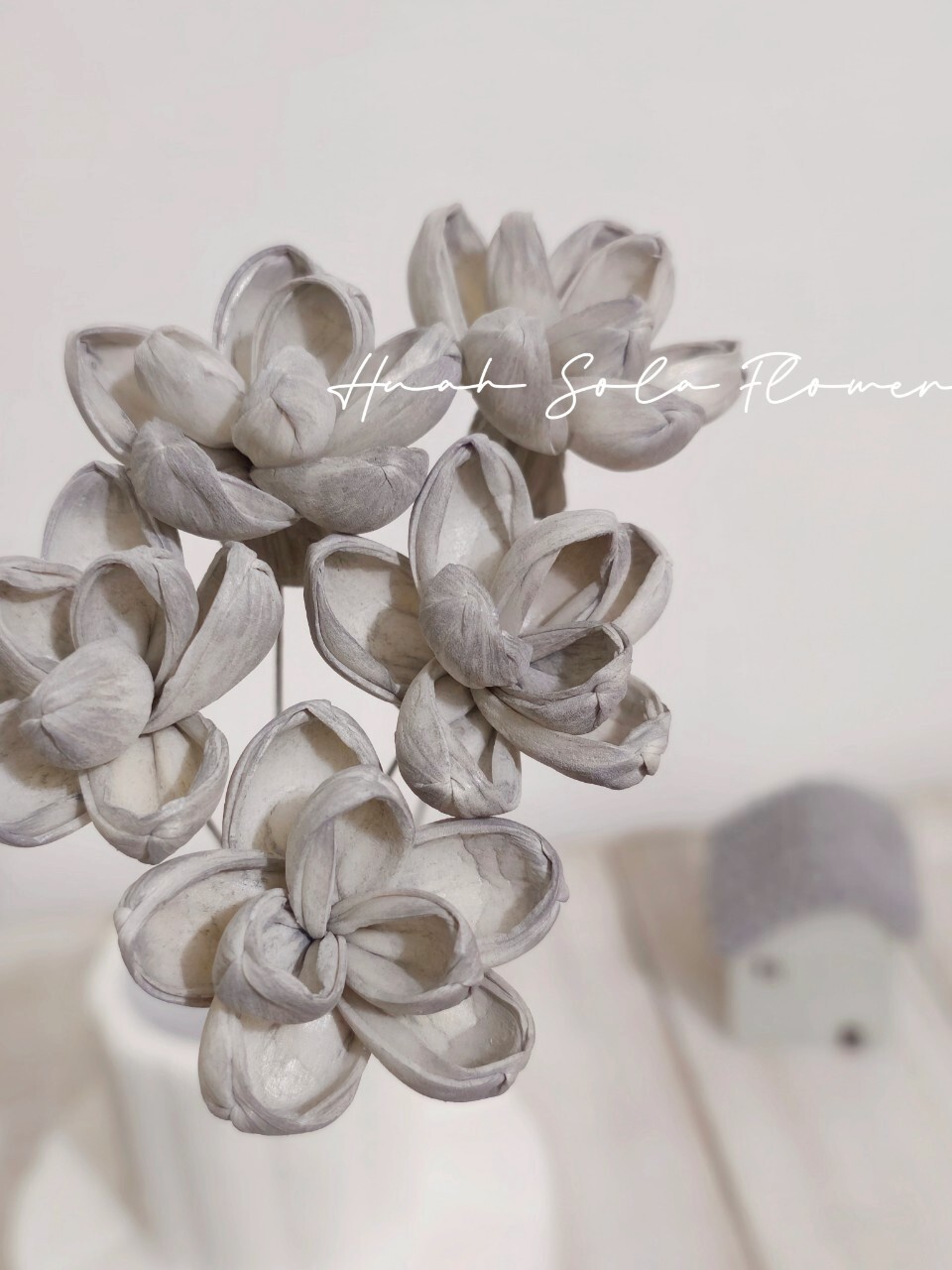 LINE_ALBUM_官網2_250801_21